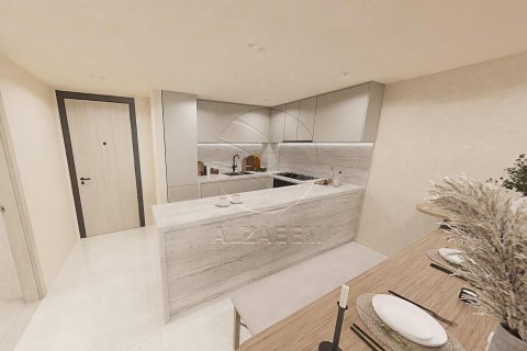 1 bedroom Apartment on the Saadiyat Cultural District, UAE No. 91311 10
