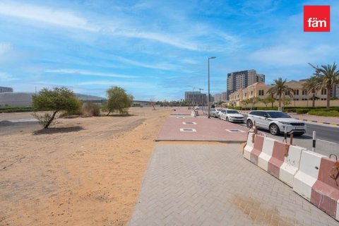 Land de 487.2m² en Wadi Al Safa 2, UAE No. 87347 3