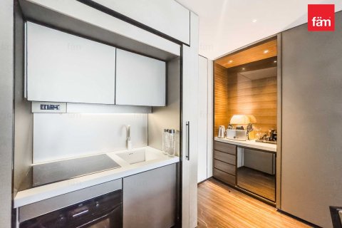 Appartement de 1 chambre à Downtown Dubai (Downtown Burj Dubai), UAE No. 101303 12