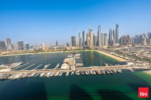 3 غرف نوم شقة في Dubai Harbour, الإمارات العربية المتحدة رقم 89009 4