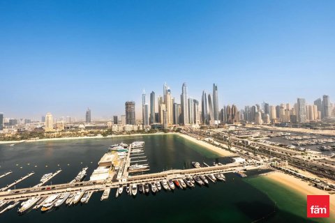 3 غرف نوم شقة في Dubai Harbour, الإمارات العربية المتحدة رقم 89009 5