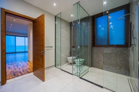 7 bedrooms Villa on the Saadiyat Island, UAE No. 89973 6
