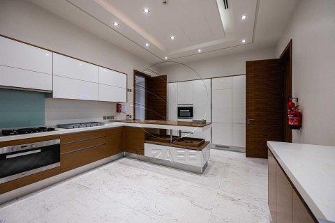 7 bedrooms Villa on the Saadiyat Island, UAE No. 89973 19