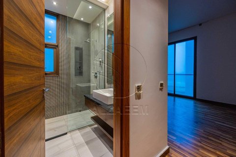 7 bedrooms Villa on the Saadiyat Island, UAE No. 89973 8
