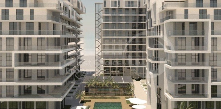1 غرف نوم شقة في Oasis Residences, الإمارات العربية المتحدة رقم 12411