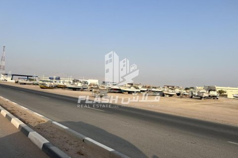 Land de 899.9m² en Al Mairid, UAE No. 88236 3