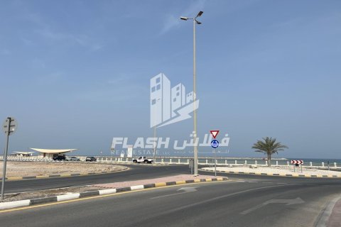 Land de 899.9m² en Al Mairid, UAE No. 88236 16