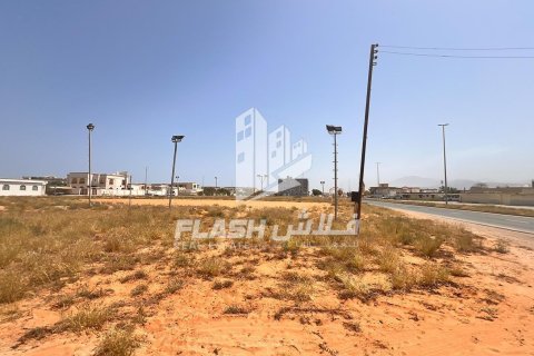 Земельный участок 449.9м² в Al Mairid, ОАЭ №88238 11