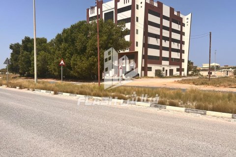 Земельный участок 449.9м² в Al Mairid, ОАЭ №88238 19