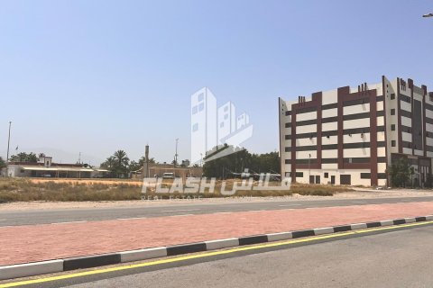 Земельный участок 449.9м² в Al Mairid, ОАЭ №88238 10