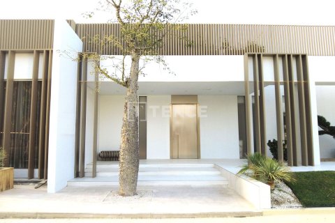 Apartment de 1 dormitorio  No. 106055 2