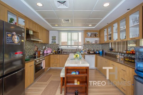 5 bedrooms Villa in Rahat, UAE No. 73859 16