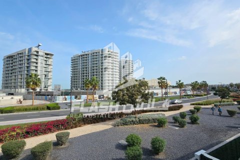 3 bedrooms Apartment in Mina Al Arab, UAE No. 88319 6