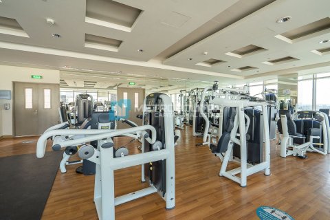 1 bedroom Apartment in Al Reem Island, UAE No. 82520 16
