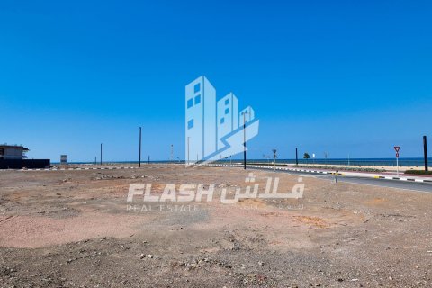 Land de 1800m² en Al Mairid, UAE No. 88278 4