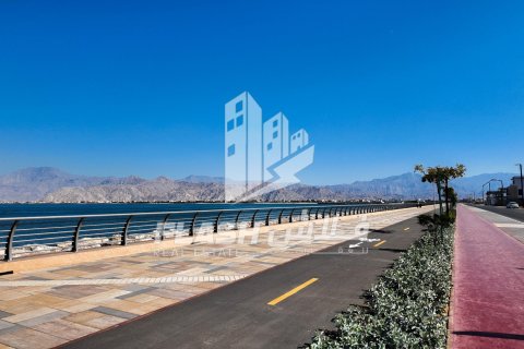 Land de 1800m² en Al Mairid, UAE No. 88278 3