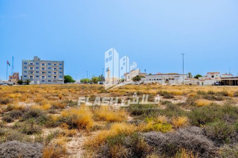 Land de 1347.1m² en Al Mairid, UAE No. 88279 3
