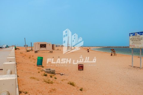 Land de 1347.1m² en Al Mairid, UAE No. 88279 26