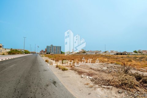 Land de 1347.1m² en Al Mairid, UAE No. 88279 12