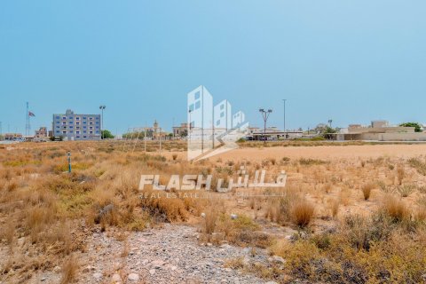 Land de 1347.1m² en Al Mairid, UAE No. 88279 15