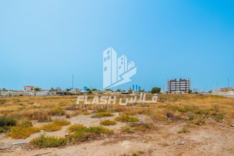 Land de 1347.1m² en Al Mairid, UAE No. 88279 17