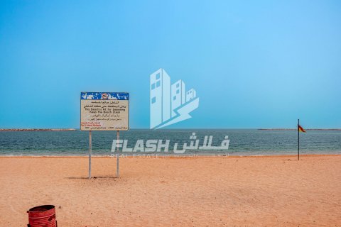 Land de 1347.1m² en Al Mairid, UAE No. 88279 24