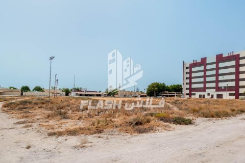 Land de 1347.1m² en Al Mairid, UAE No. 88279 13