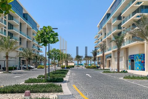 Apartment de 2 dormitorios en  Saadiyat Island, UAE No. 26206 27