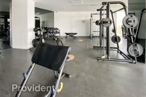 Apartment in Culture Village, UAE No. 2559 21